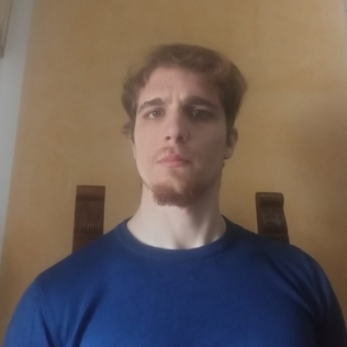 Salvato2003