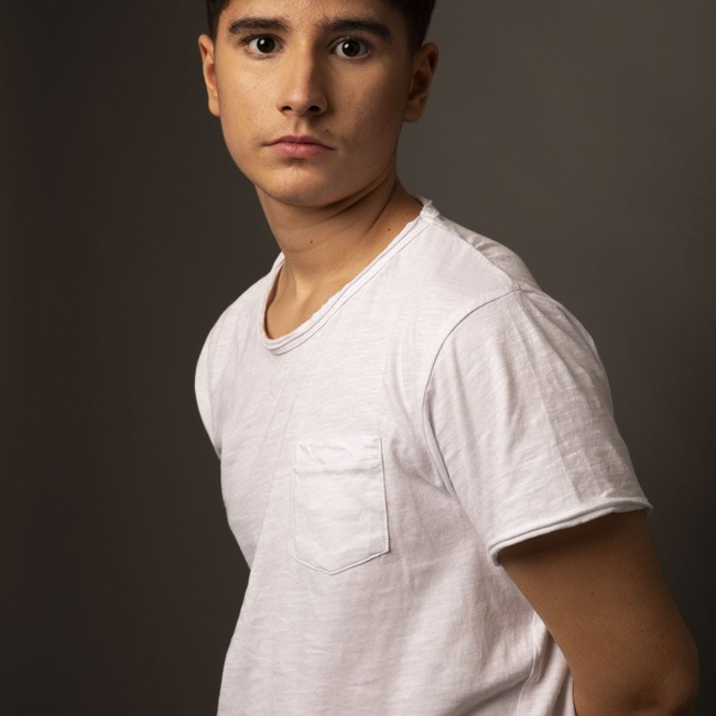 SteBru2012