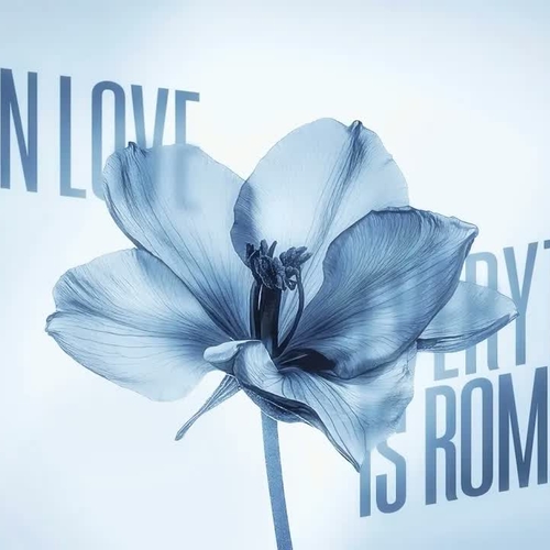 purple drip boy - Everything is romantic (Alina Kay TikTok Remix) | Fall in love again and again