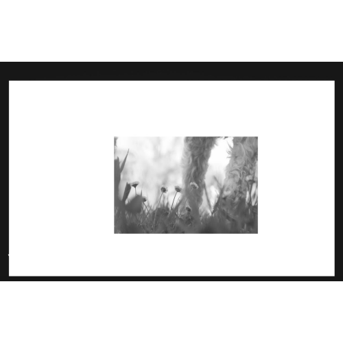 LudovicoEinaudiVEVO - Ludovico Einaudi - Dietro Casa (Official Visualiser)